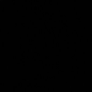 Meet your Posher, Rose